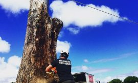 Tree Care Solutions